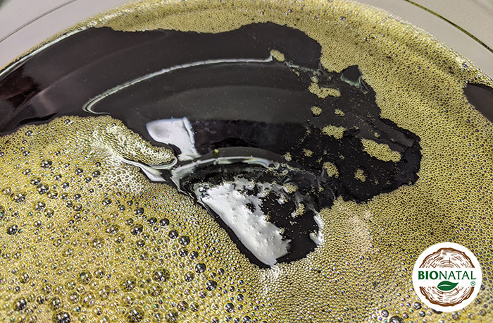 BioNatal black seed oil closeup during production