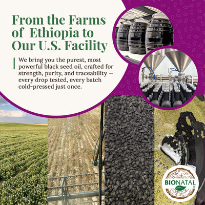 Ethiopian Black Seed Oil 16oz (GLASS)