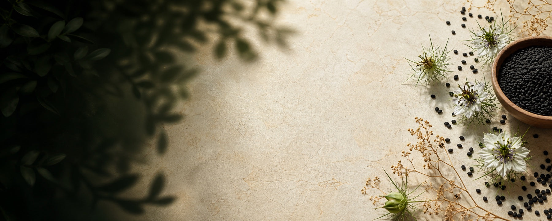 Black seeds and flowers arranged in a clean natural setting